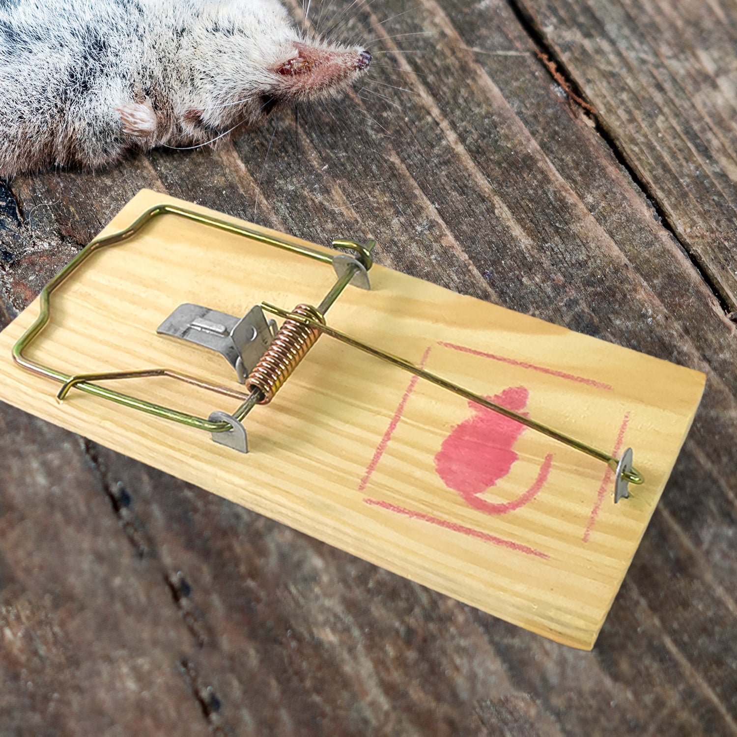 Rustic Rodent Trap Rustic Rodent Trap